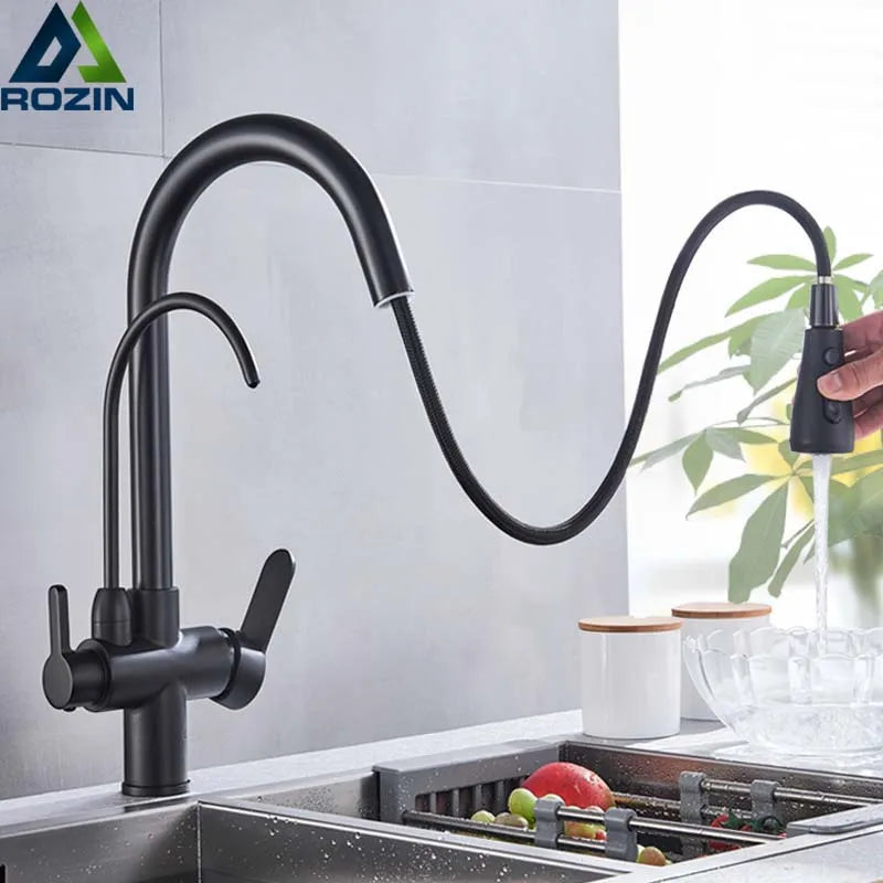 Rozin Purification Kitchen Faucet Pull Out Water Filter