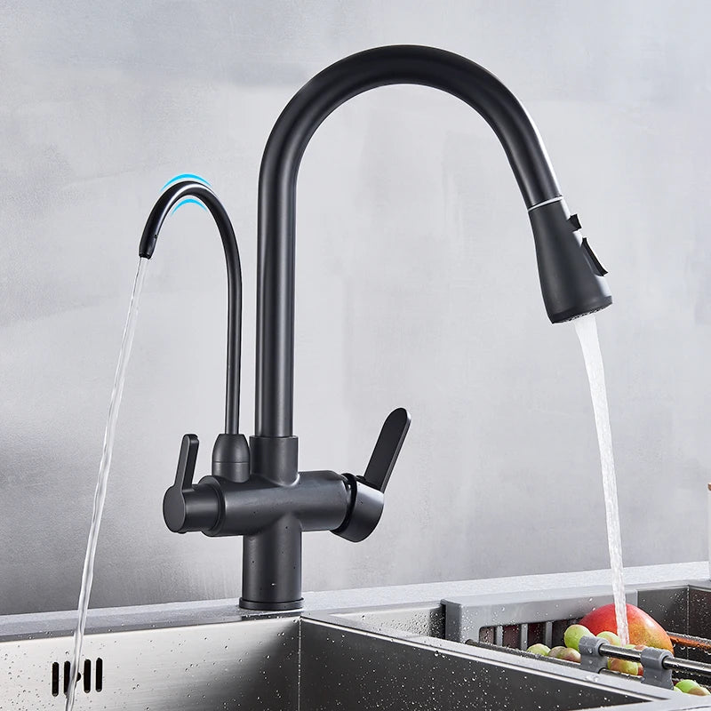 Rozin Purification Kitchen Faucet Pull Out Water Filter