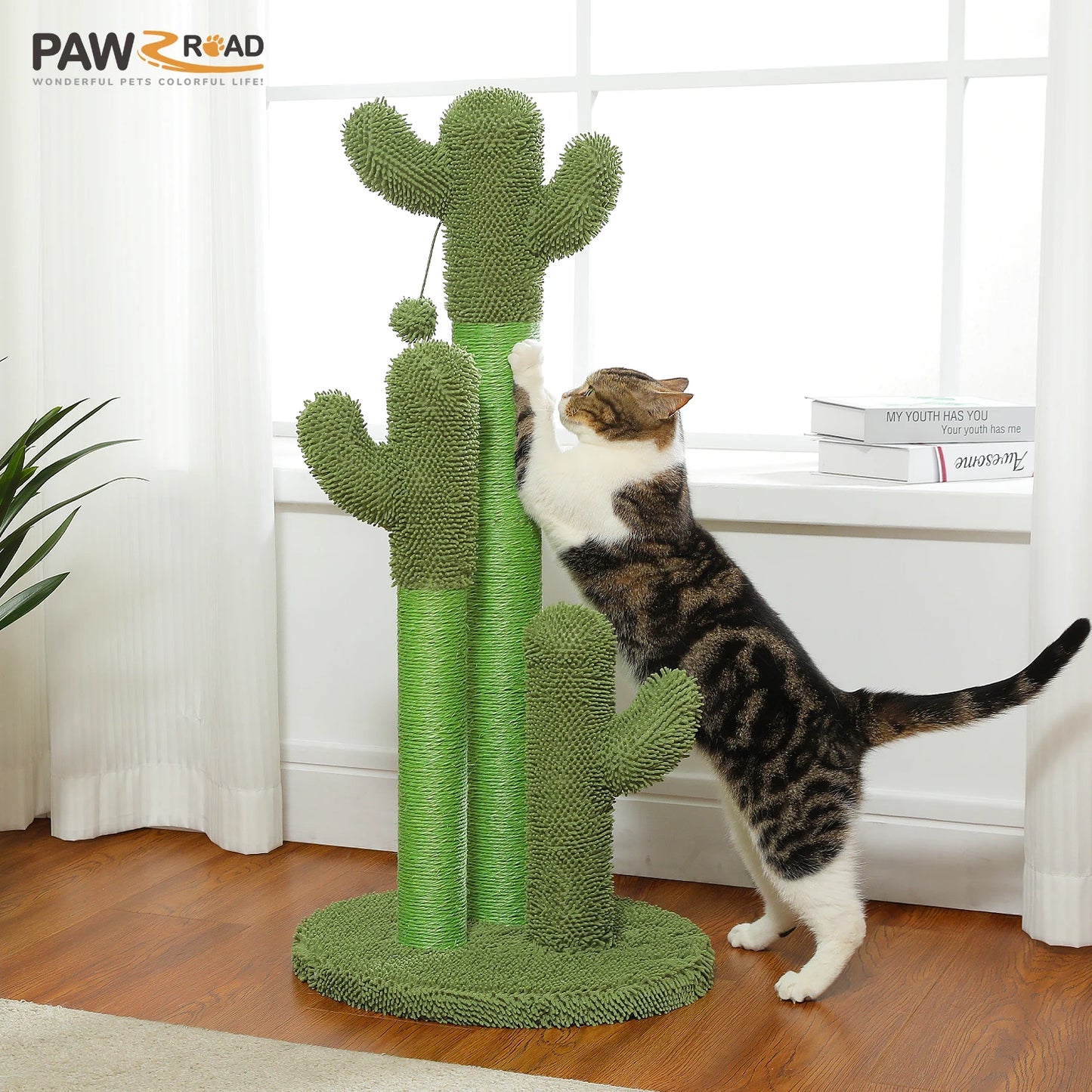PEQULTICN Cactus Cat Tree With Condo Hammock Dangling Ball