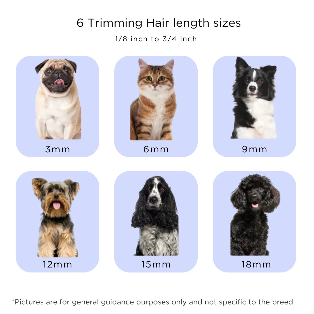 Carolina Pets Grooming Kit for Dogs and Cats With Vacuum