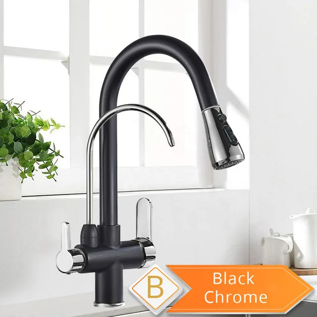 Rozin Purification Kitchen Faucet Pull Out Water Filter