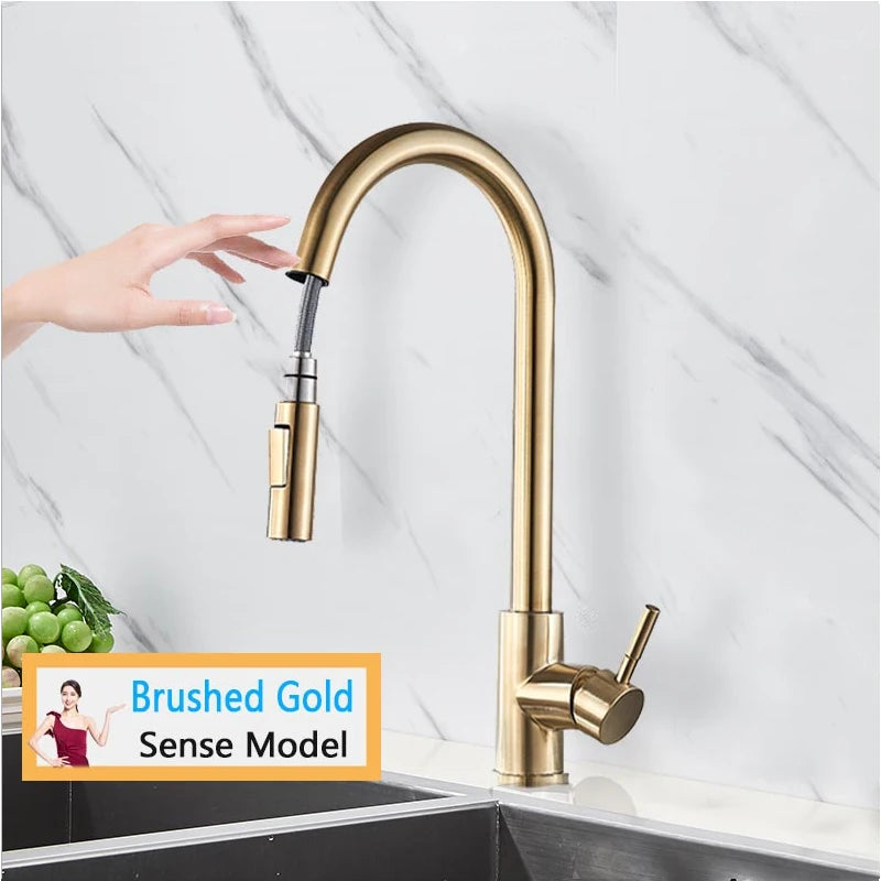 Rozin Smart Touch Kitchen Faucet With Pull Out Sensor