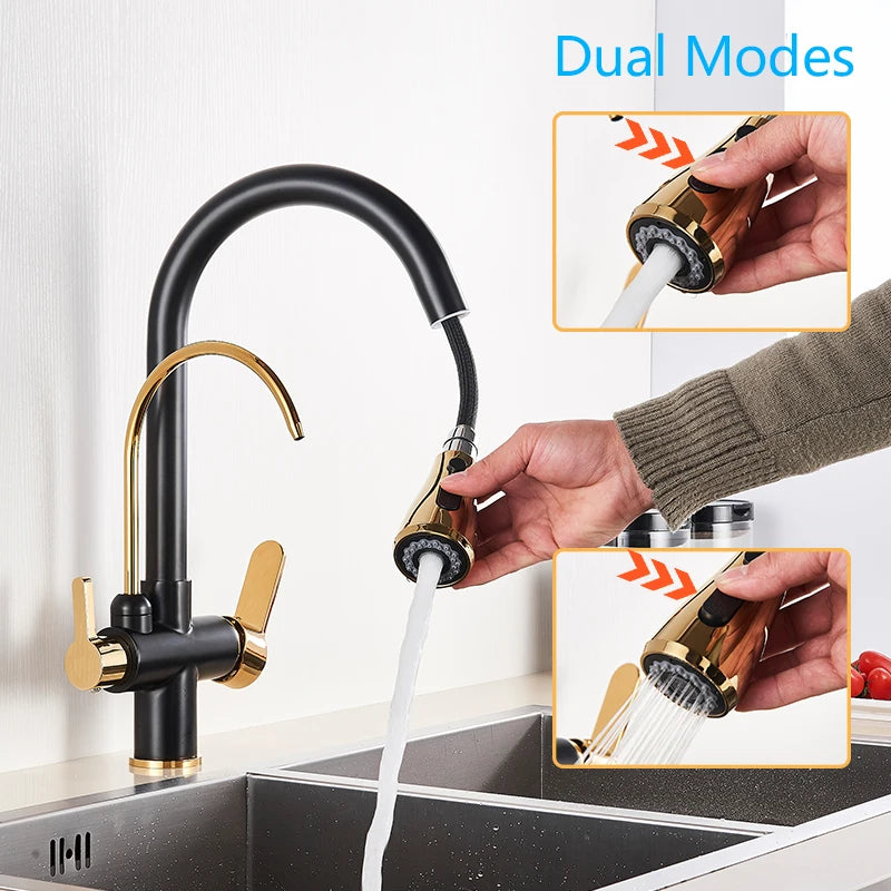 SAFLIHCAR Pull Out Water Faucet Spout Dual Modes Kitchen