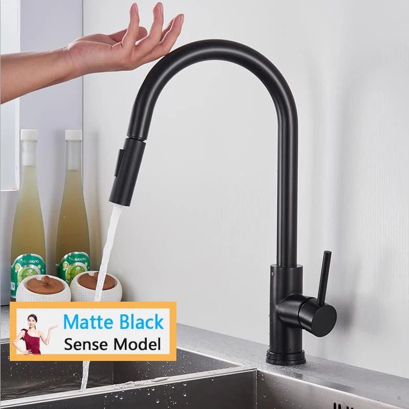 Rozin Smart Touch Kitchen Faucet With Pull Out Sensor