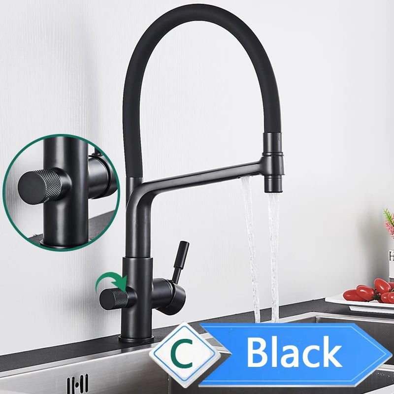Rozin Purification Kitchen Faucet Pull Out Water Filter