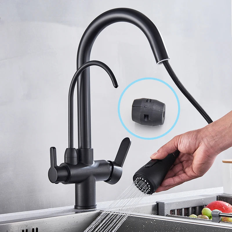 Rozin Purification Kitchen Faucet Pull Out Water Filter