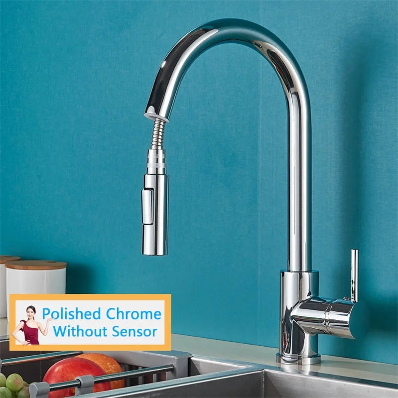 Rozin Smart Touch Kitchen Faucet With Pull Out Sensor
