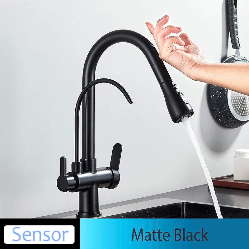 Everyday EssentialsOnline Kitchen Faucet Dual Handle