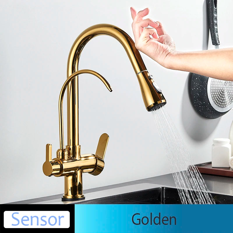 Everyday EssentialsOnline Kitchen Faucet Dual Handle