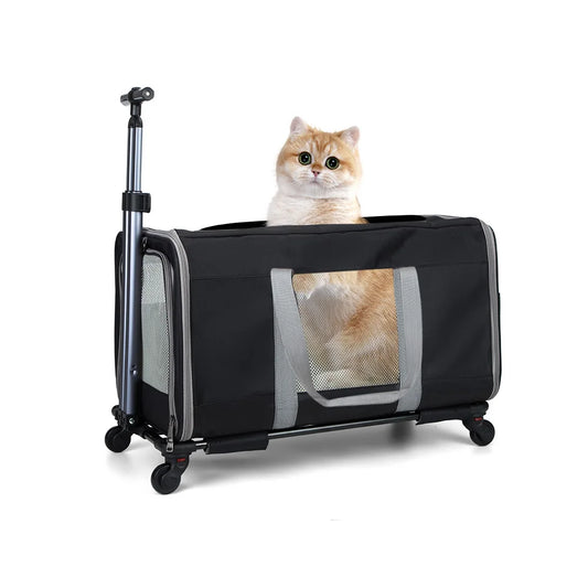 Cat Transport Carrier With Wheels And Safety Belts Travel