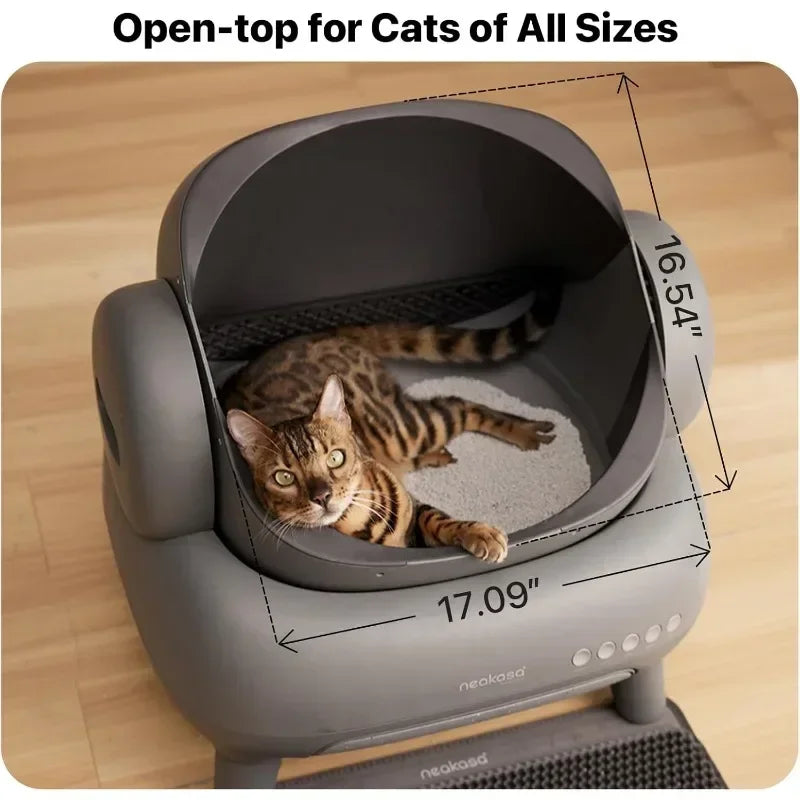 Everyday EssentialsOnline M1 OpenTop Cleaning Cat Litter Box