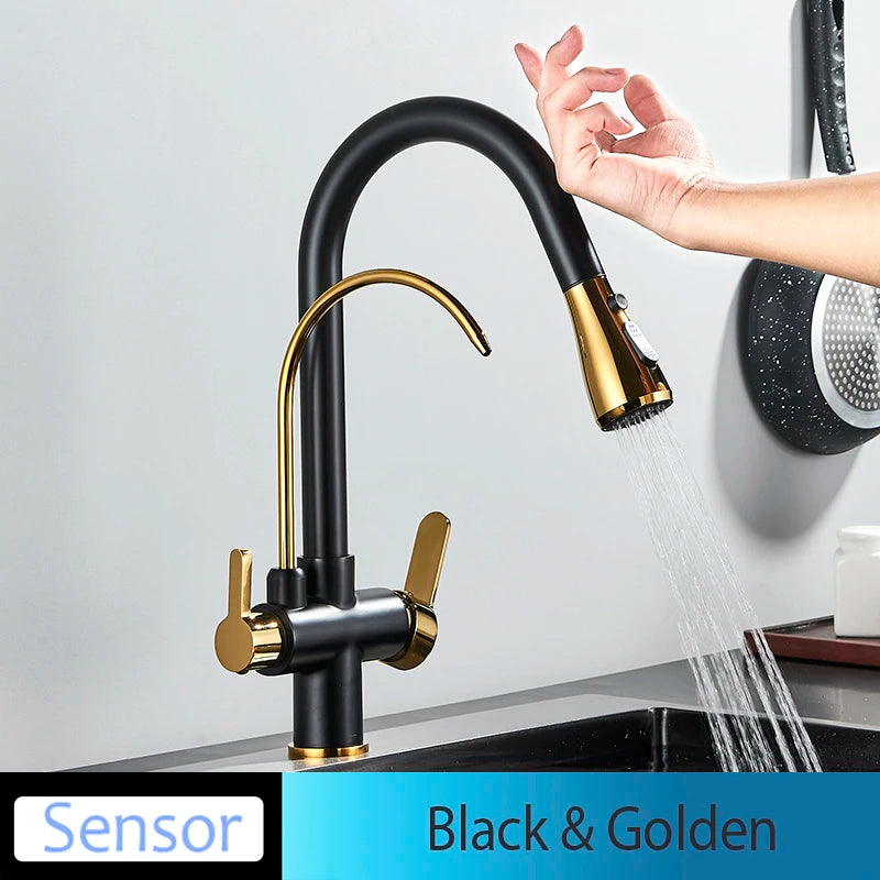 Everyday EssentialsOnline Kitchen Faucet Dual Handle