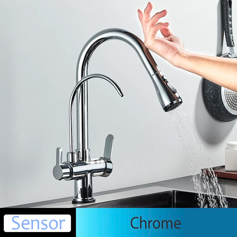 Everyday EssentialsOnline Kitchen Faucet Dual Handle
