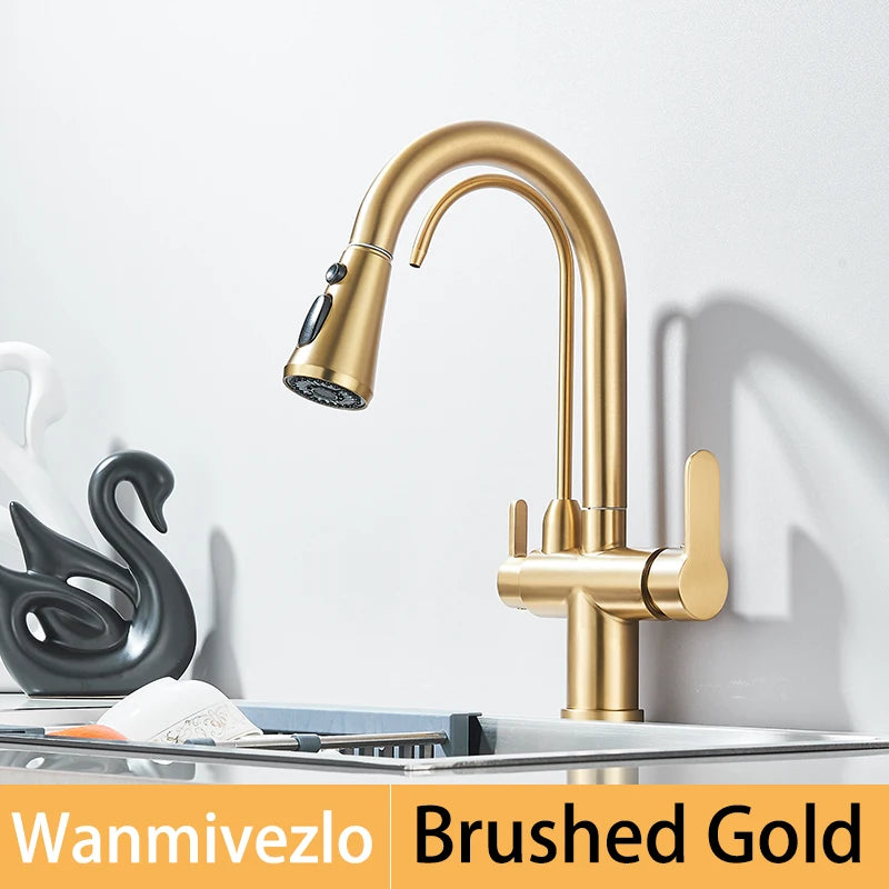 Wanmivezlo Brass Kitchen Faucet Purify Water Dual Handle
