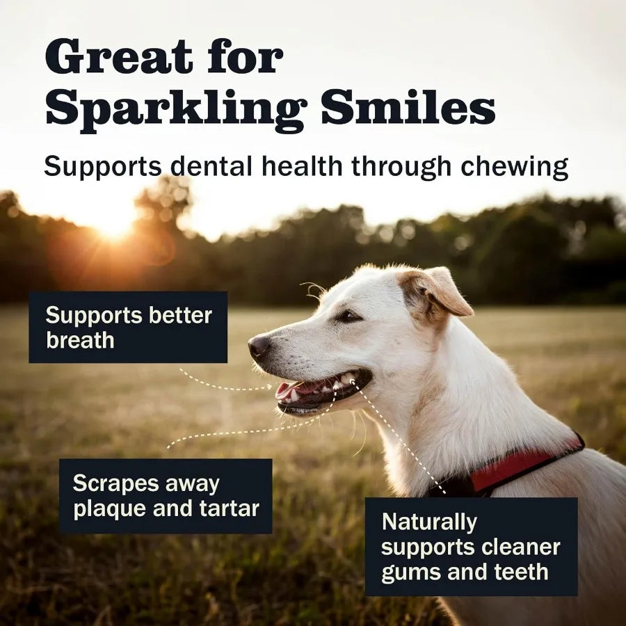 Hign Concerned All Natural Beef Bully Sticks for Dogs
