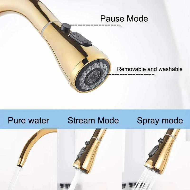 Wanmivezlo Brass Kitchen Faucet Purify Water Dual Handle