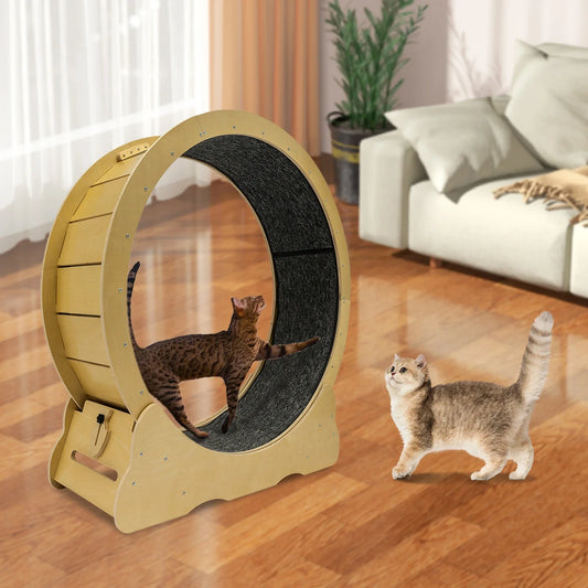 Control Cat Wheel Exerciser for Indoor Cats with Low Noise