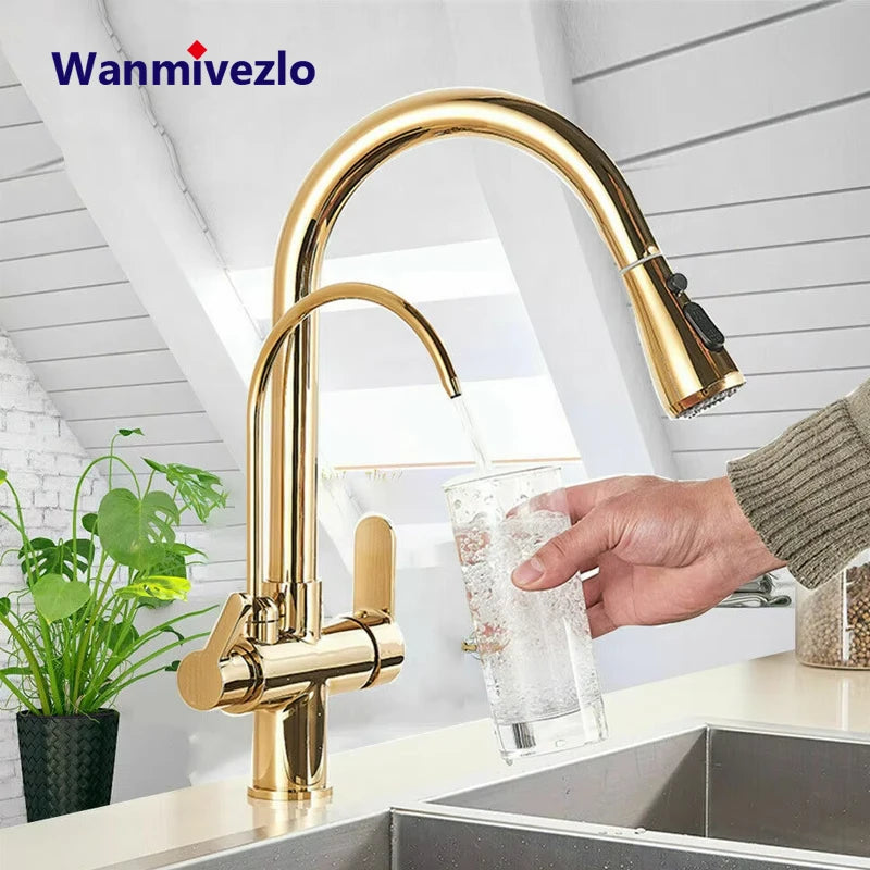 Wanmivezlo Brass Kitchen Faucet Purify Water Dual Handle