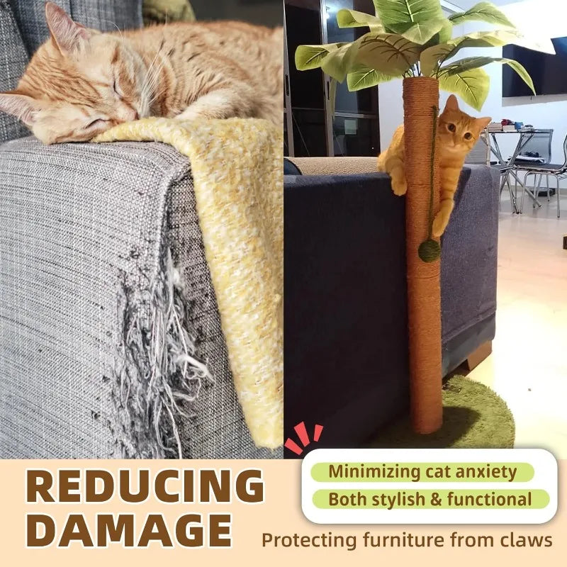 Hign-concerned Cat Scratching Post Indoor Cats Sisal Rope
