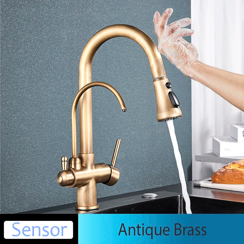 Everyday EssentialsOnline Kitchen Faucet Dual Handle
