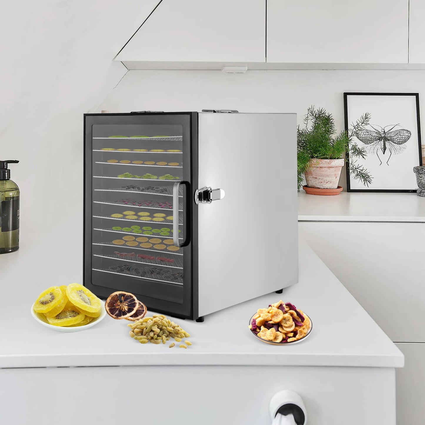 Fruit And Vegetable Tools 800W Digital Dehydrator Trays