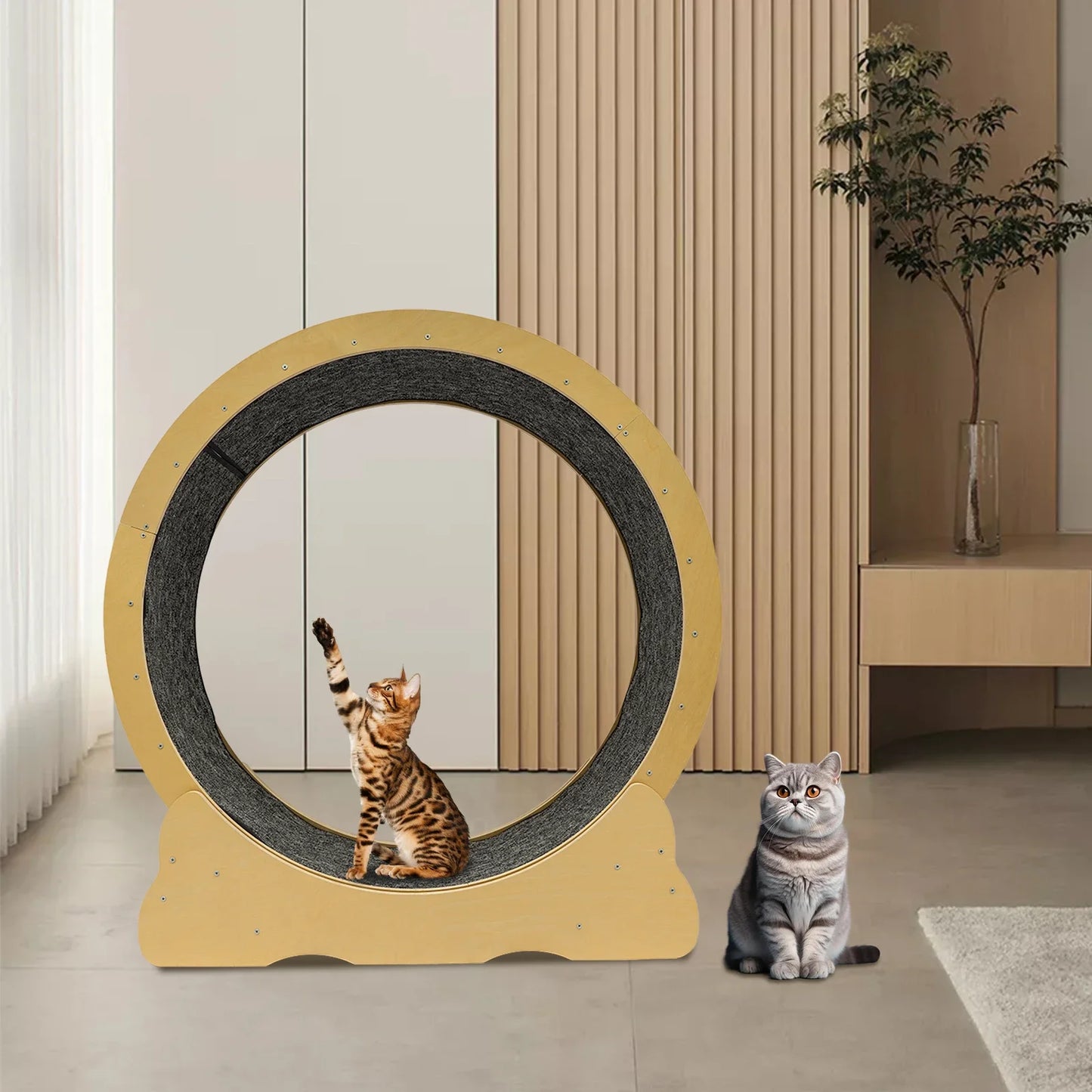 Control Cat Wheel Exerciser for Indoor Cats with Low Noise