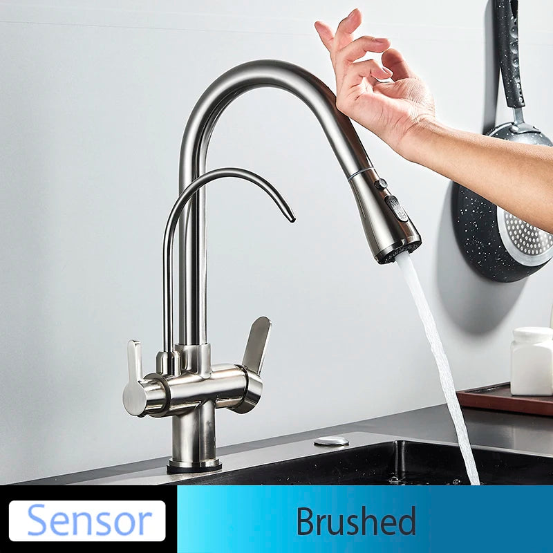 Everyday EssentialsOnline Kitchen Faucet Dual Handle