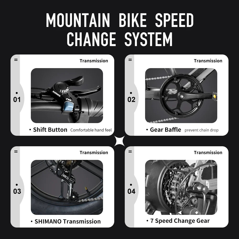 DEEPOWER QS7 1000W Fat Tire Electric Bike For Adults