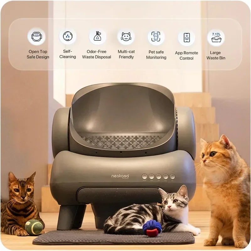 Everyday EssentialsOnline M1 OpenTop Cleaning Cat Litter Box