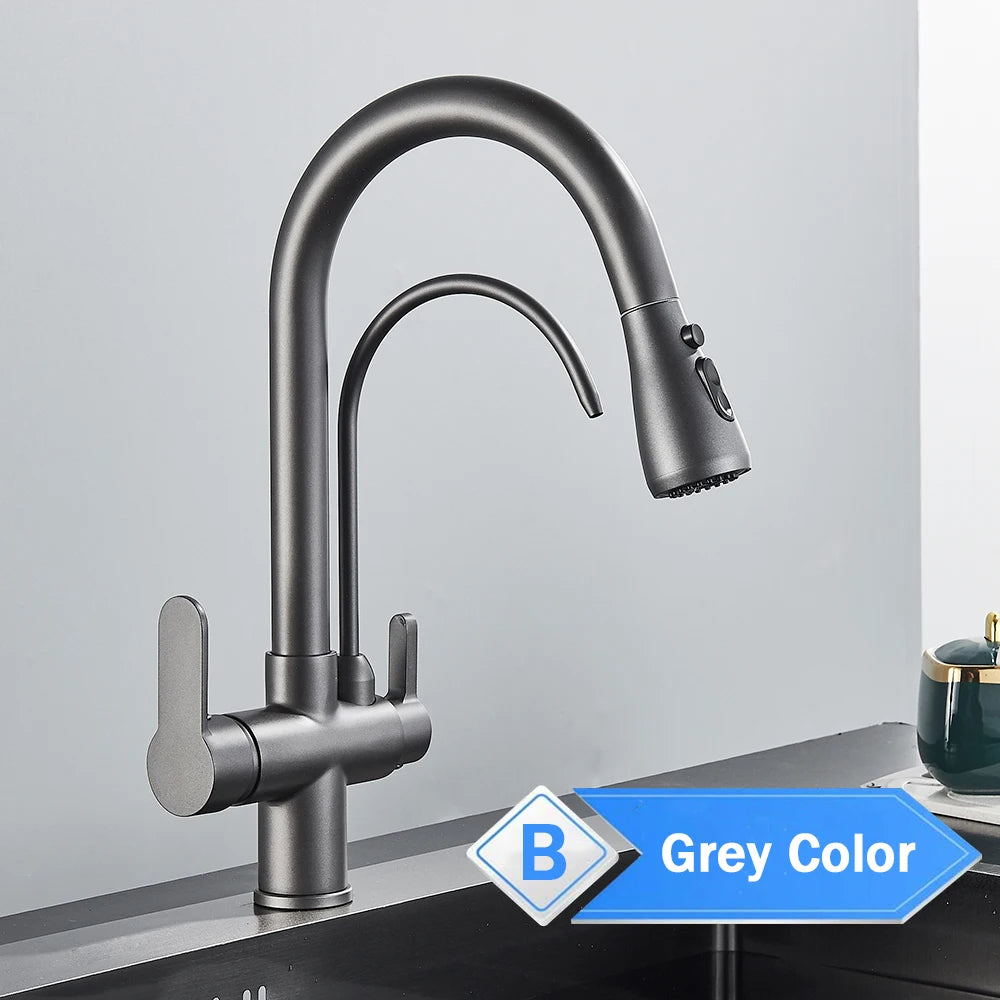 Rozin Purification Kitchen Faucet Pull Out Water Filter