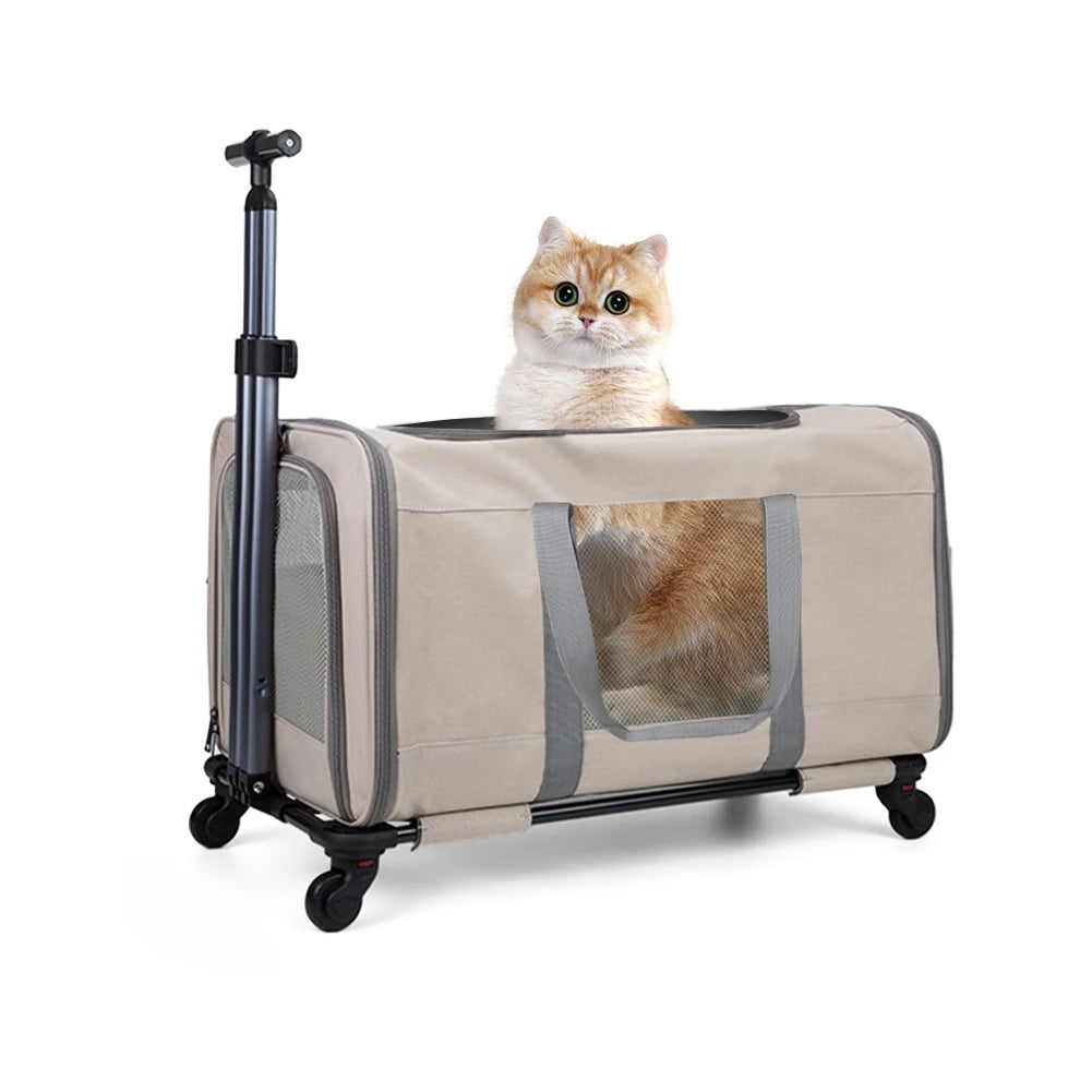 Cat Transport Carrier With Wheels And Safety Belts Travel