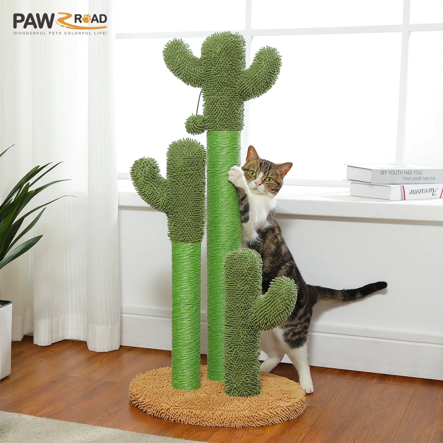 PEQULTICN Cactus Cat Tree With Condo Hammock Dangling Ball