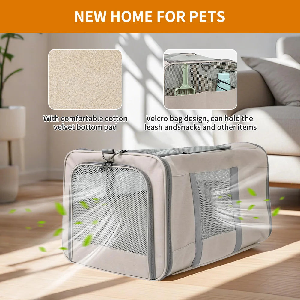 Cat Transport Carrier With Wheels And Safety Belts Travel